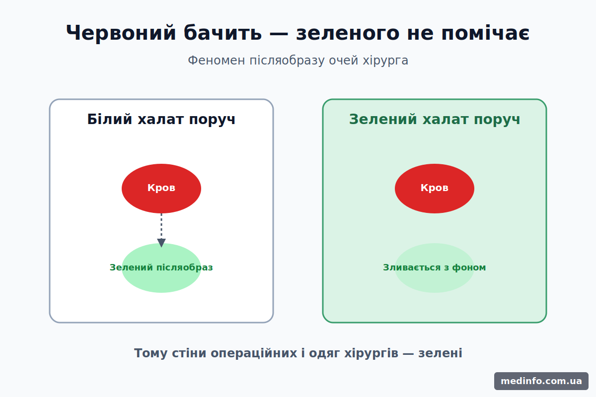 Додаткові кольори: червоний і зелений у фізіології зору Схема ефекту додаткових кольорів: червона пляма крові і зеленіючий післяобраз на сітківці
