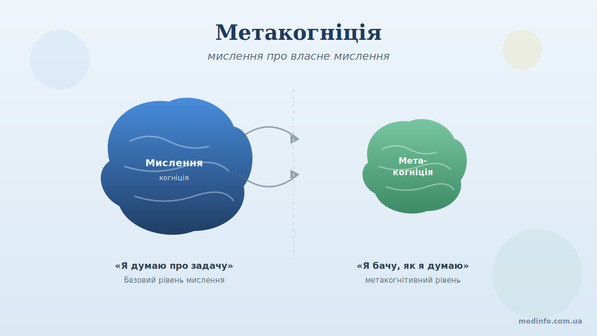 Метакогніція: мислення про власне мислення — схематична ілюстрація